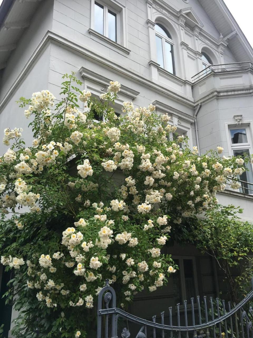 Ruhige Wohnung In Zentral Gelegener Gruenderzeitvilla Oldenburg Exterior foto